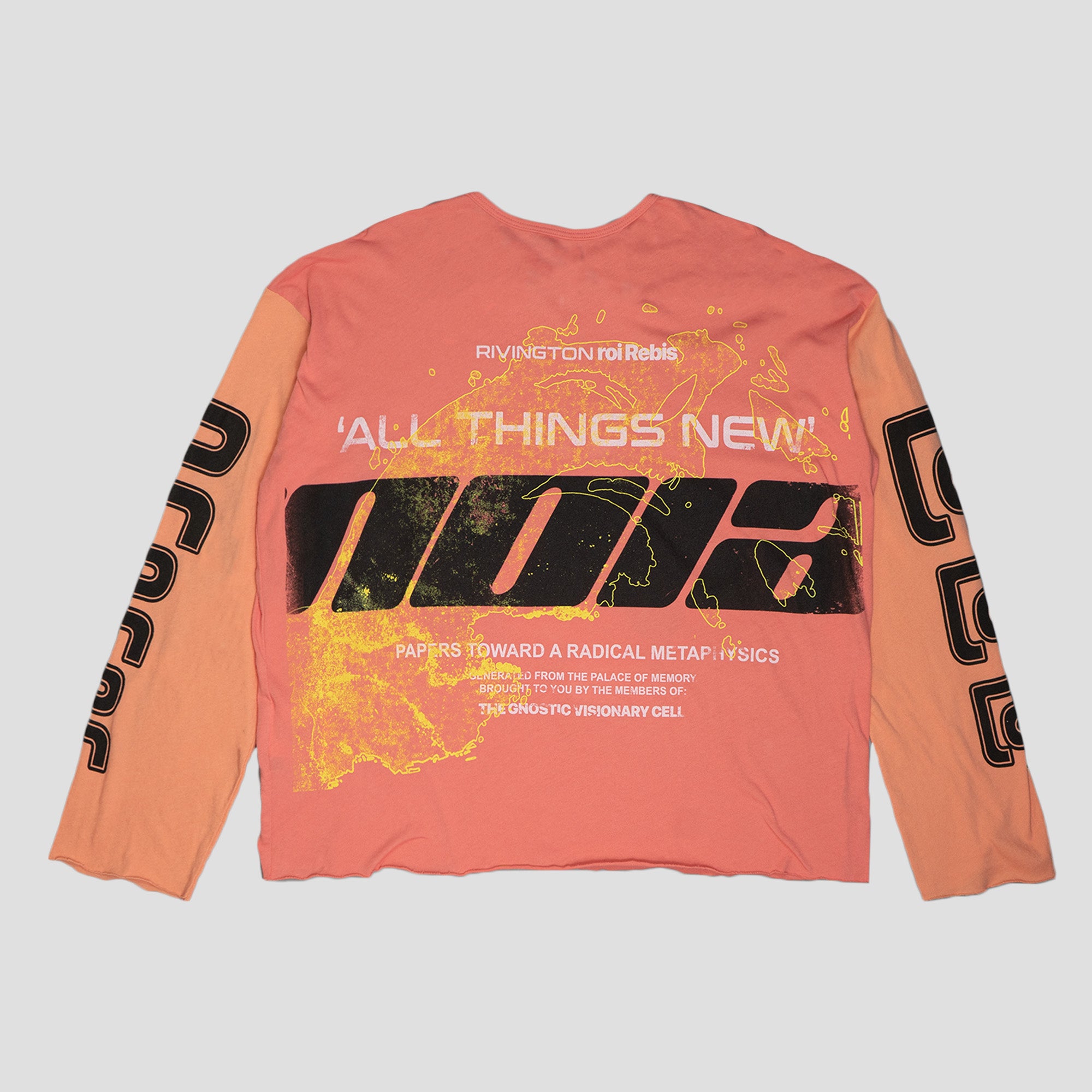 ALL THINGS NEW ENEMY L/S T-SHIRTS