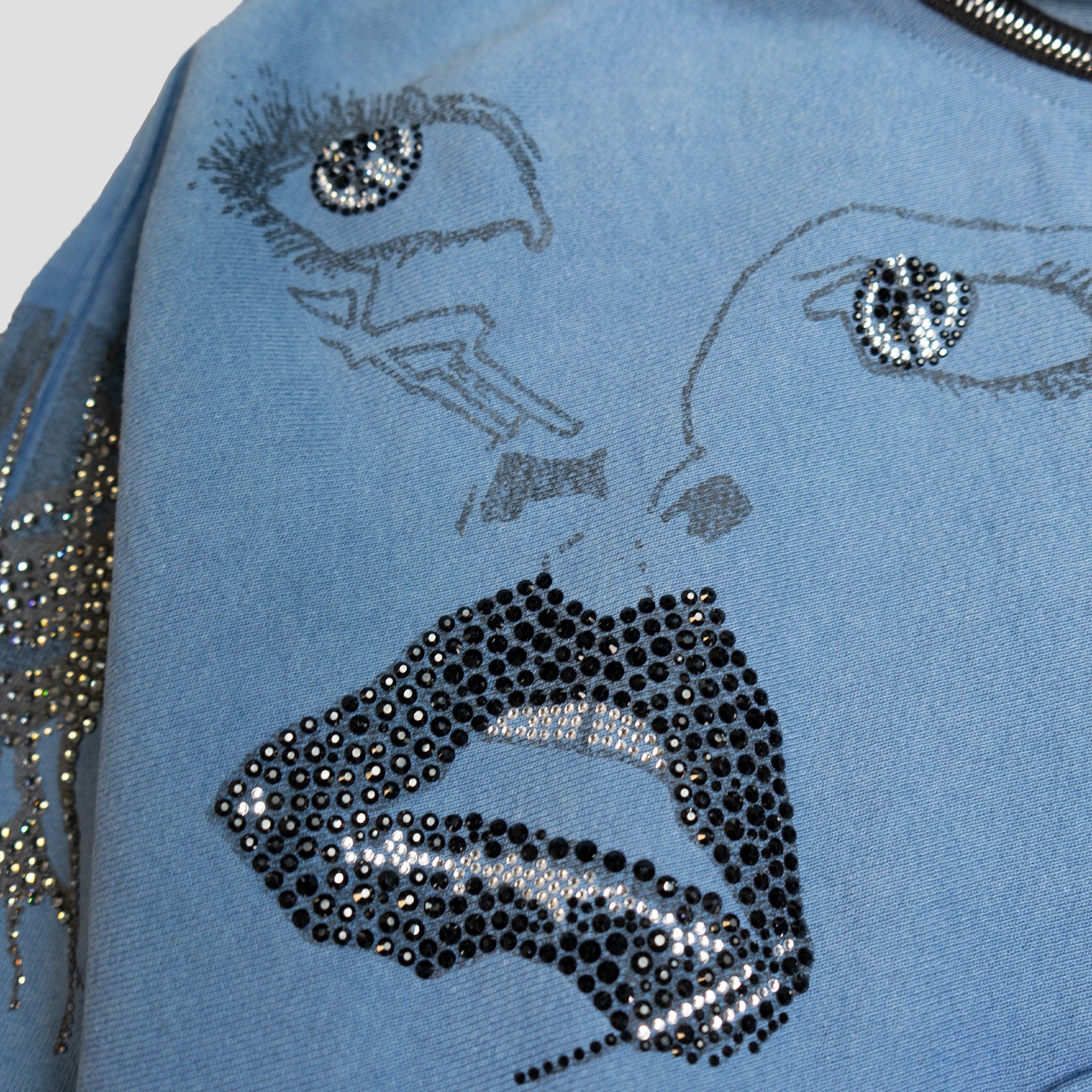 EYES WIDE OPEN ROSE ZIP HOODIE