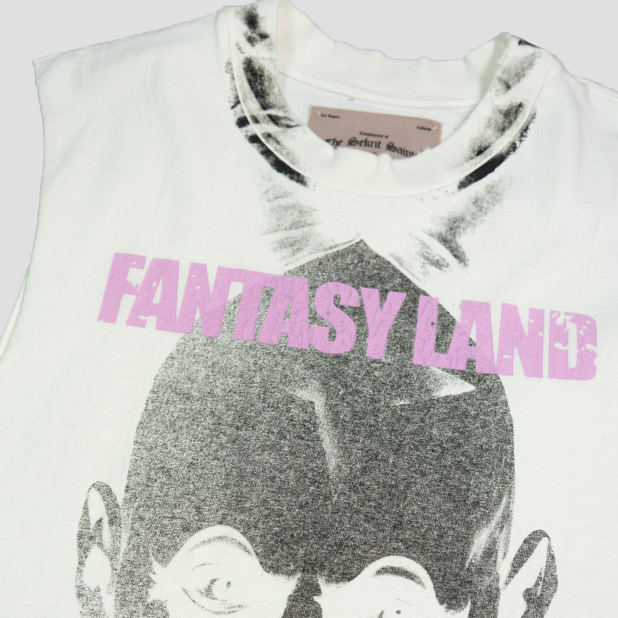 FANTASY LAND CUT OFF